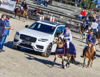 volvo w galopie 2021