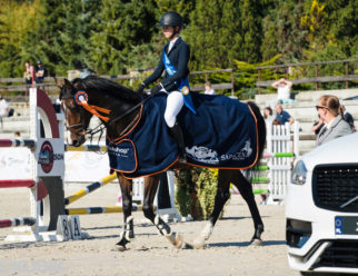 volvo w galopie